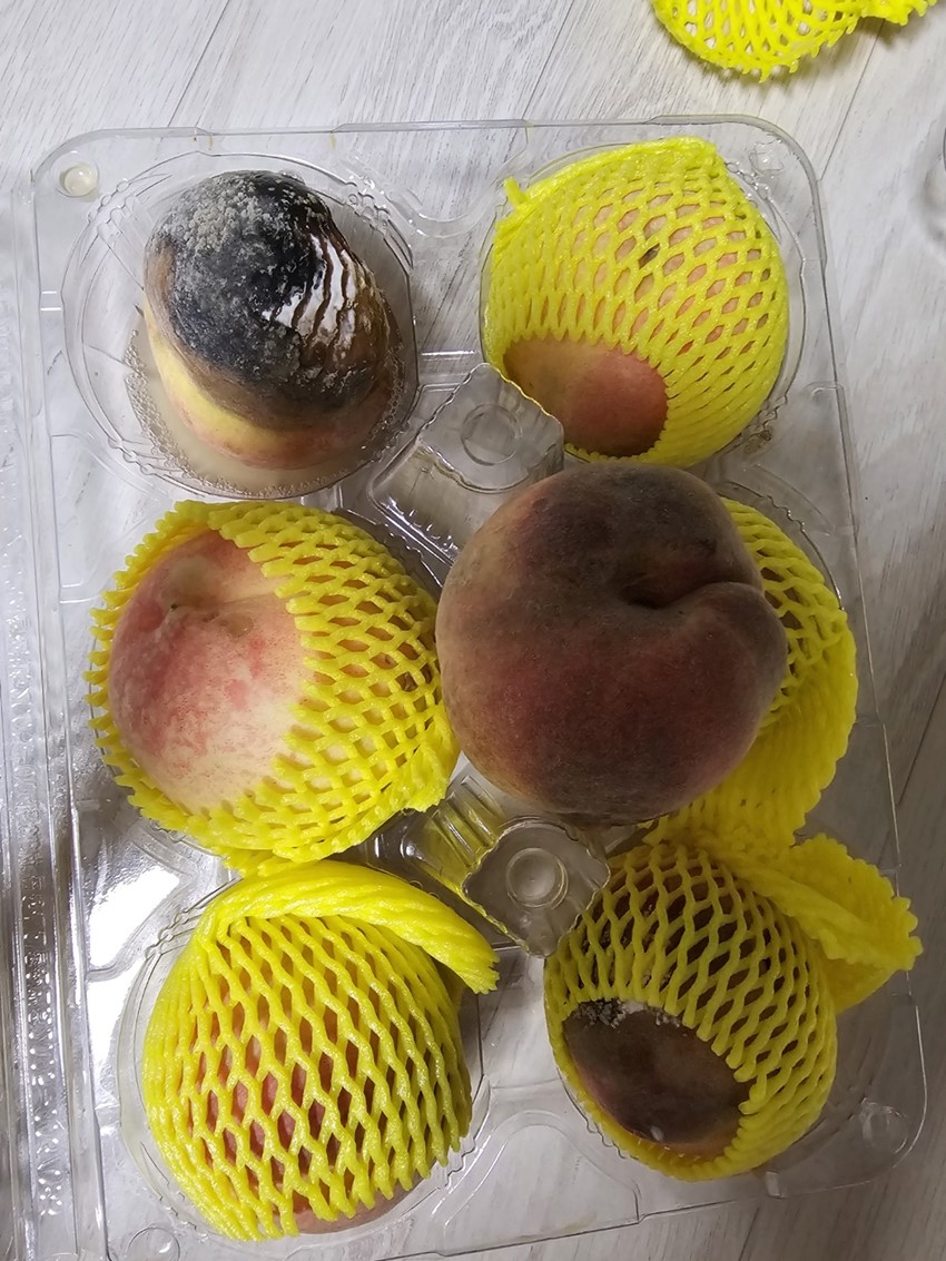 5.불량 복숭아